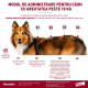 Advantix – Pipetă Repelentă pentru Câini 10–25 kg (Deparazitare Externă, Elanco)